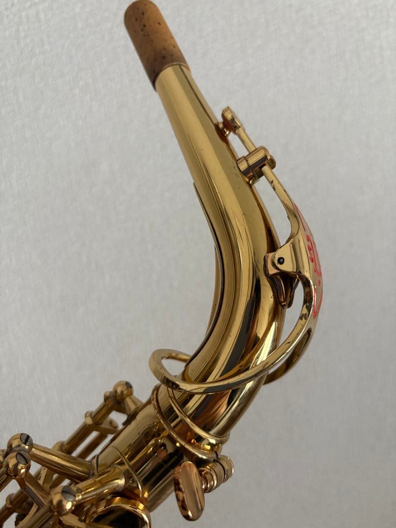 ヤナギサワ アルトサックス A-900