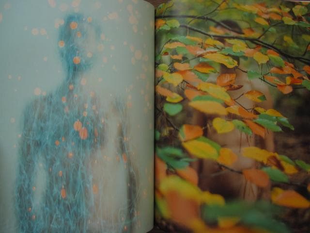 Guys, Light, and Nature　Manuel Moncayo