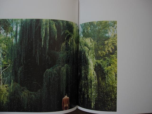 Guys, Light, and Nature　Manuel Moncayo