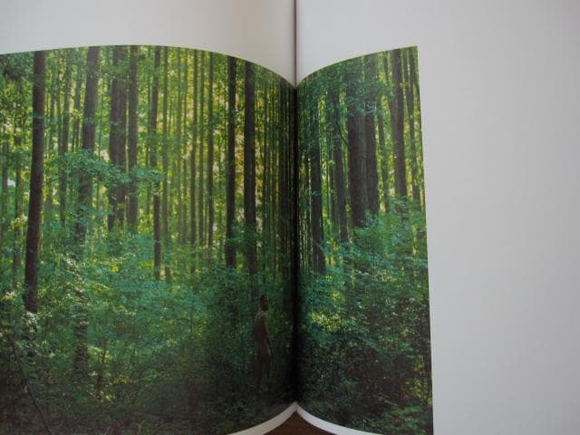 Guys, Light, and Nature　Manuel Moncayo