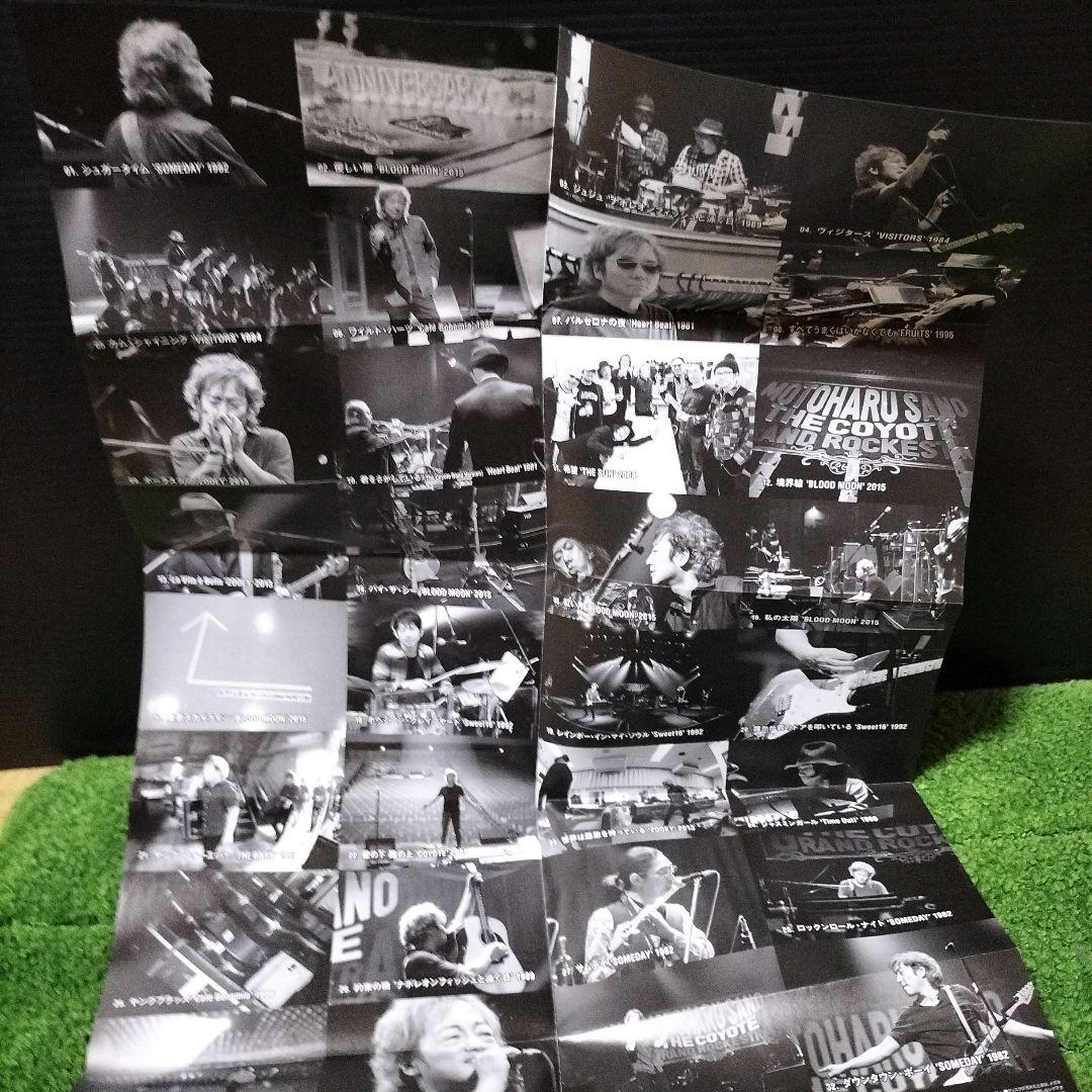 佐野元春/佐野元春&THE COYOTE GRAND ROCKESTR