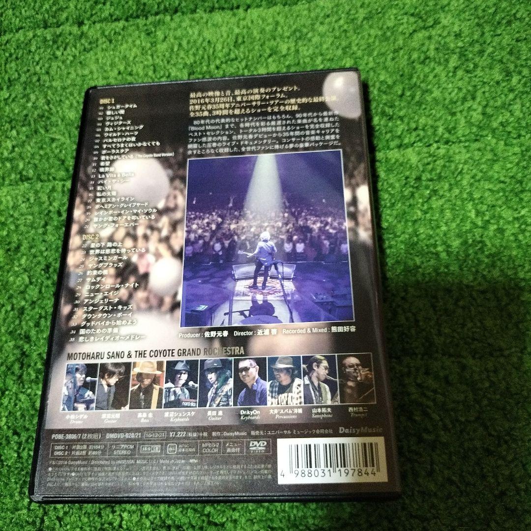 佐野元春/佐野元春&THE COYOTE GRAND ROCKESTR