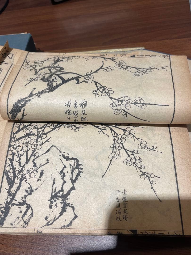 芥子園画谱大全 ４冊　古本古籍　拓本