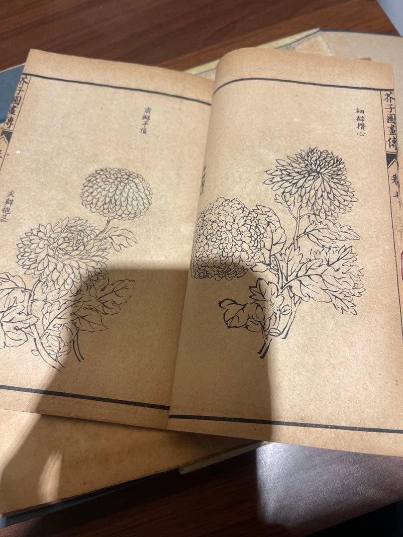 芥子園画谱大全 ４冊　古本古籍　拓本