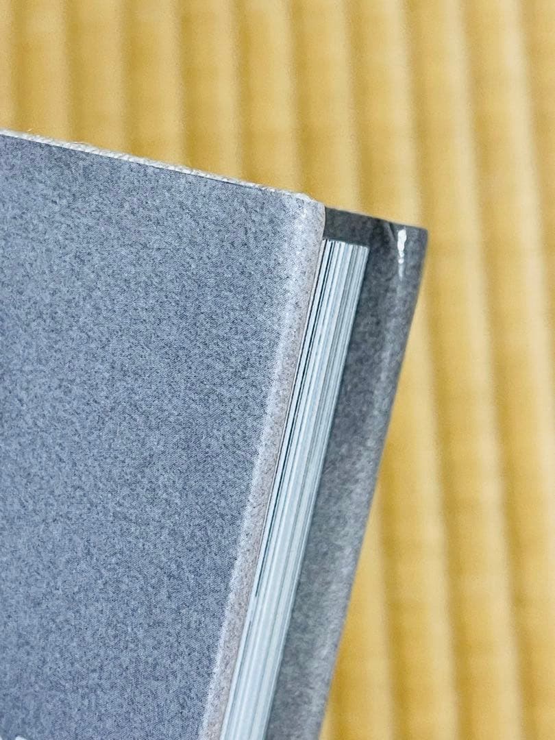 洋書 Henrik Purienne / Wandering and Learning