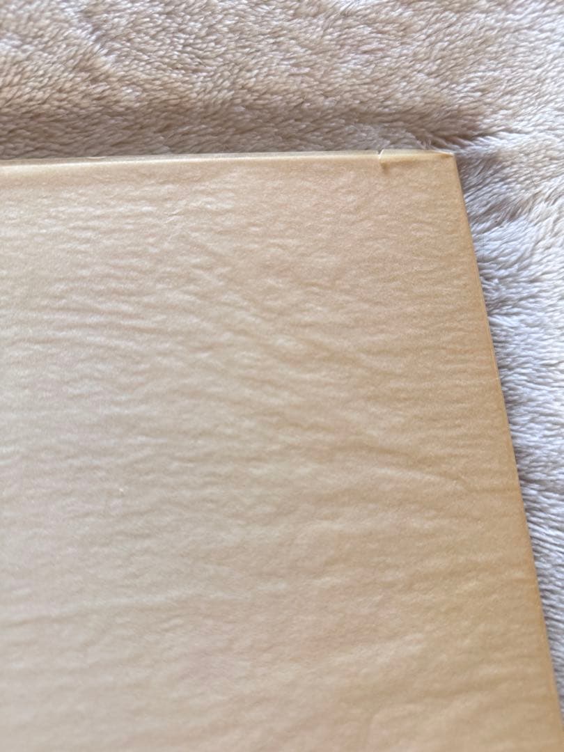 舟越保武 限定200枚のリトグラフ付き写真集