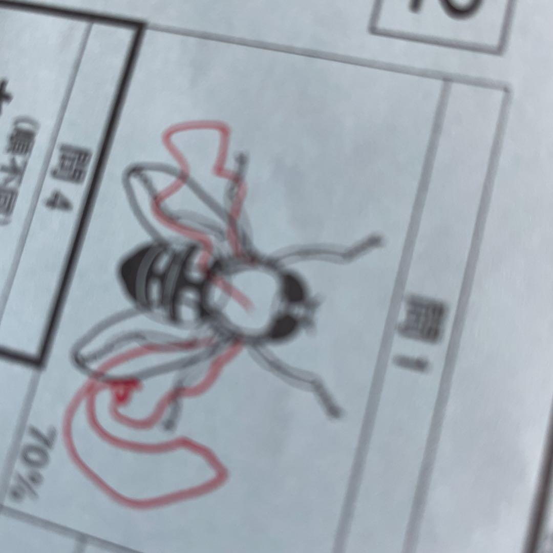 サピックス　開成コース理科対策プリント　冬期講習　正月特訓　SSKA 日曜日特訓