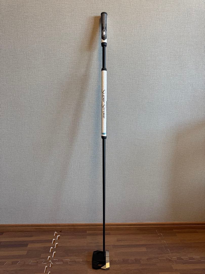 【美品】テーラーメイド Spider ZT LONG 46インチ 長尺パター