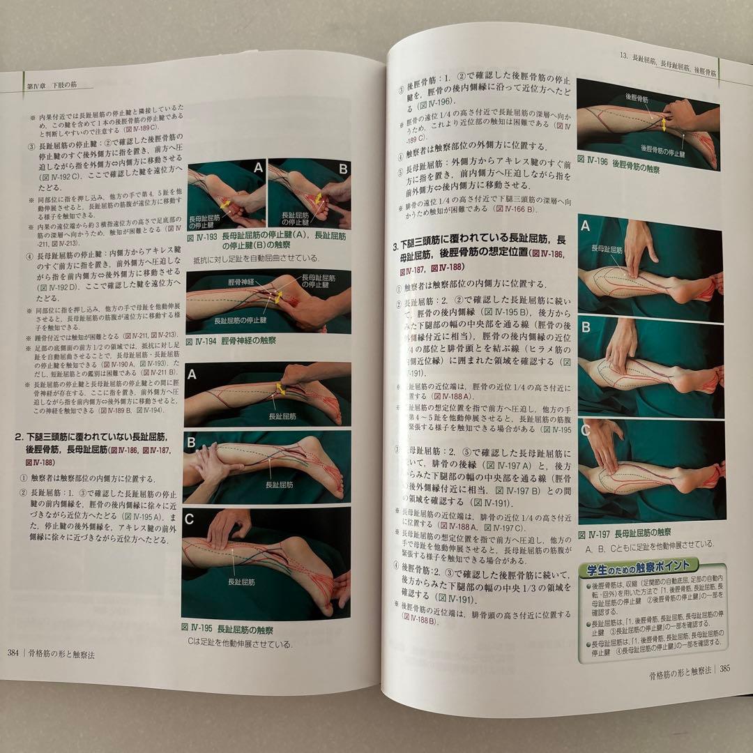 骨格筋の形と触察法 改訂第2版