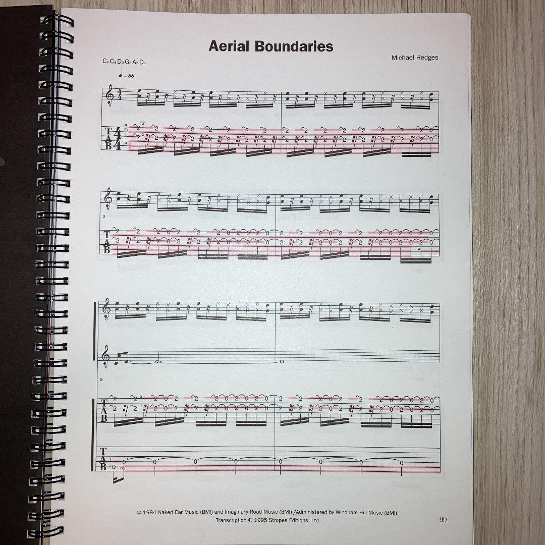 激レア　マイケル・ヘッジス Michael Hedges TAB譜（CD付）