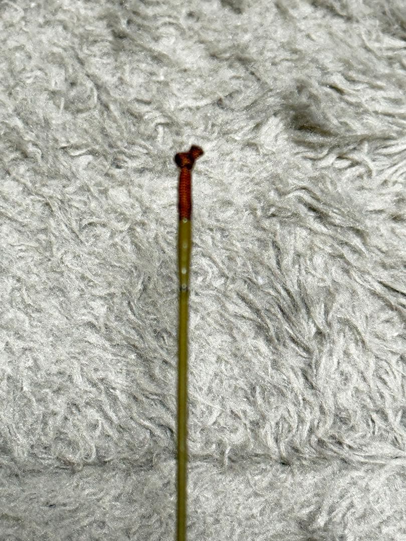 シマノ SHIMANO 飛天弓 わびすけ 11尺 ヘラ竿