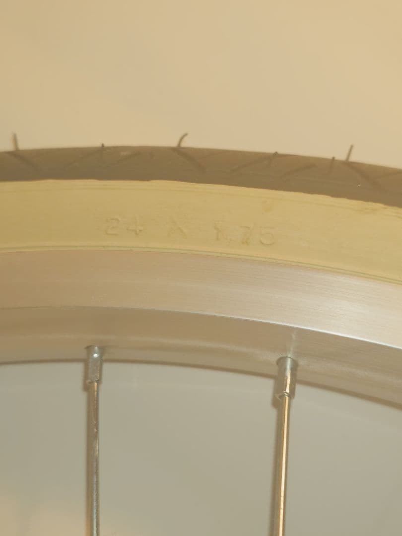 一輪車　ミヤタ　フラミンゴ　24インチ　取説・教本付