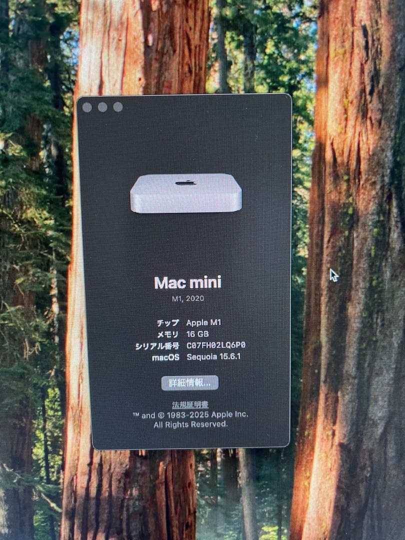Apple Mac mini (M1)メモリ16GB SSD512GB