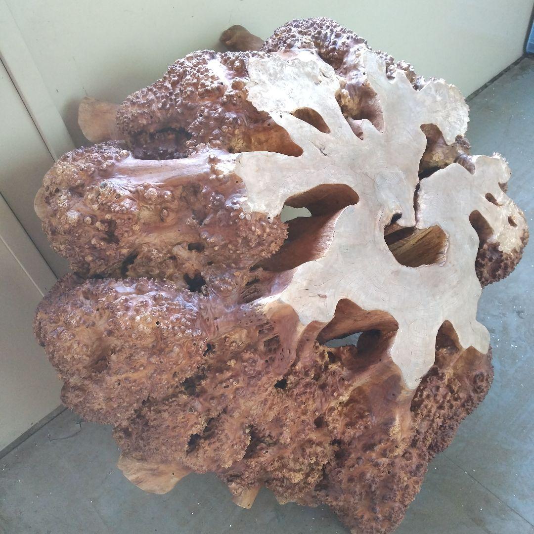 瘤のオブジェ・木製・無垢・天然木・切り株・飛騨産