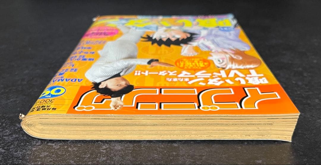 ●イブニング 2007年 9号 ●ADAMAS 後編 皆川亮二 ●バガボンド予告