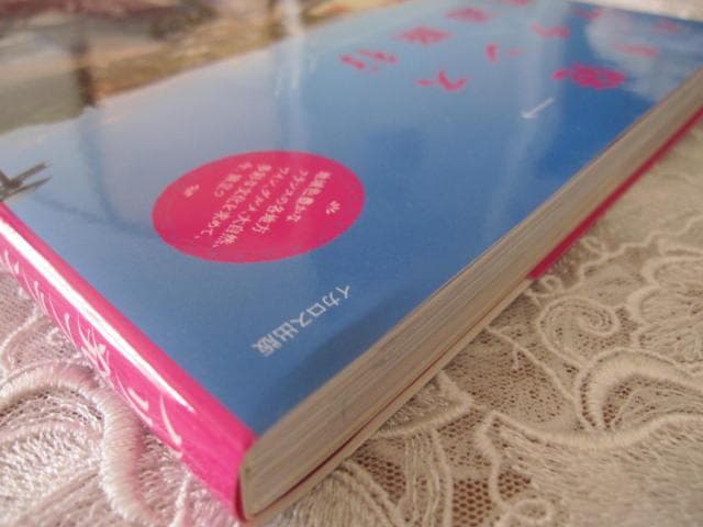 「パリ発フランス鉄道旅行」♡イカロス出版♡フランス観光に