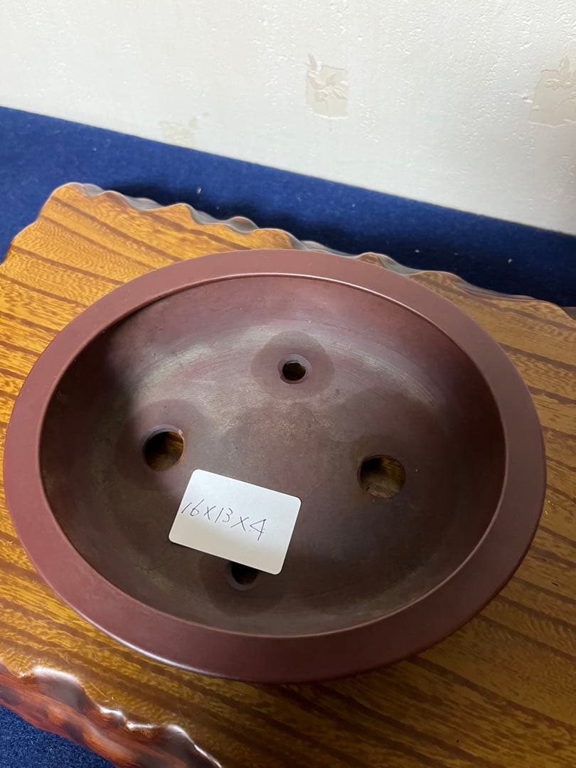 358 盆栽　盆栽鉢　植木鉢　和鉢　美芸