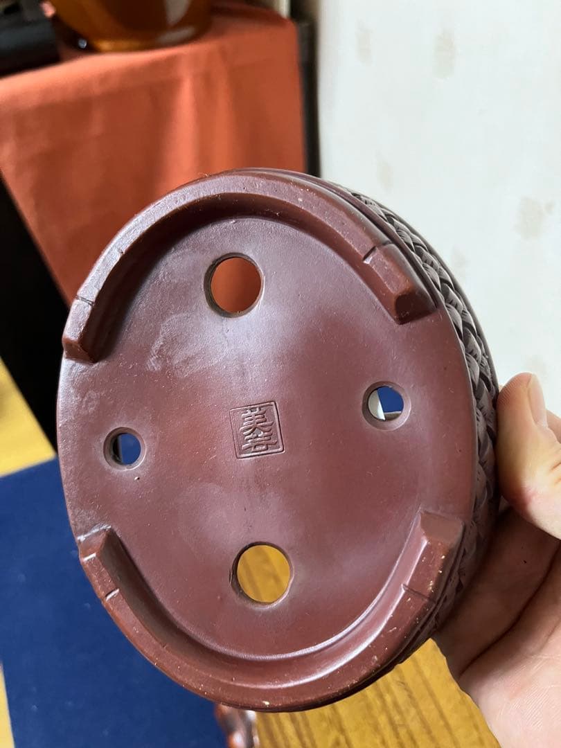 358 盆栽　盆栽鉢　植木鉢　和鉢　美芸