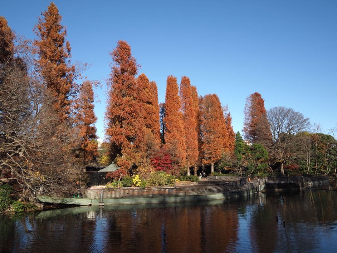 レンズ(単焦点) Lumix G 14mm F2.5 ASPH.