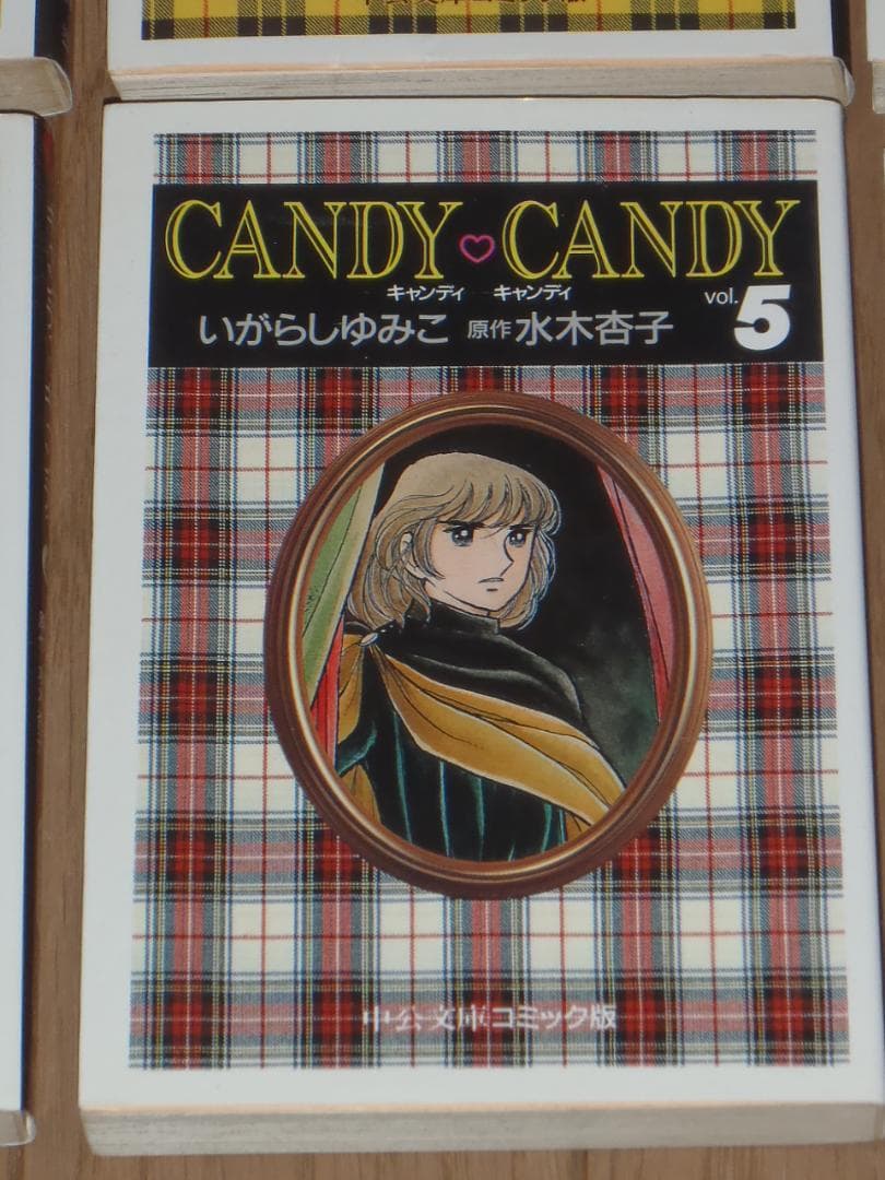 キャンディ♡キャンディ　文庫版全６巻セット　　いがらしゆみこ　水木杏子