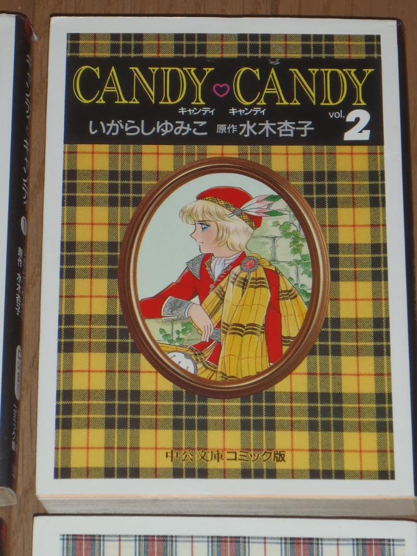 キャンディ♡キャンディ　文庫版全６巻セット　　いがらしゆみこ　水木杏子