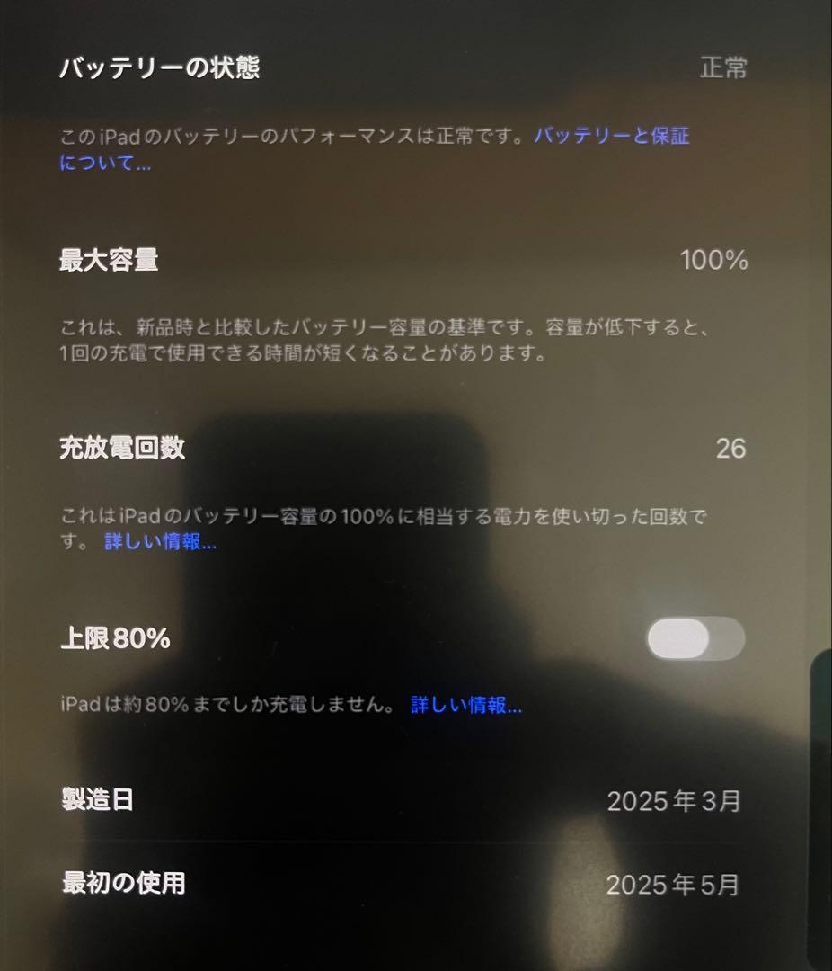 【本体】iPad Pro M4 11インチ+Apple Pencil +ケース