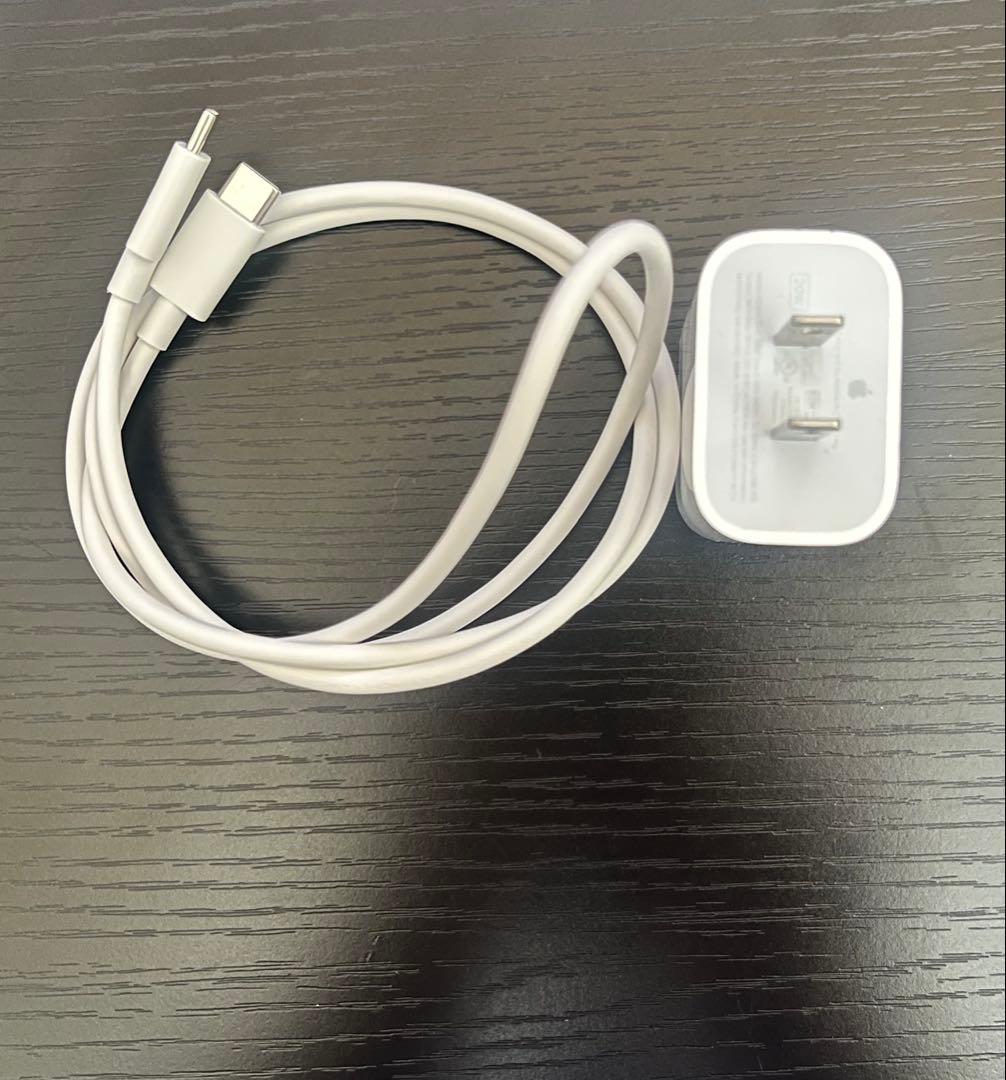 【本体】iPad Pro M4 11インチ+Apple Pencil +ケース