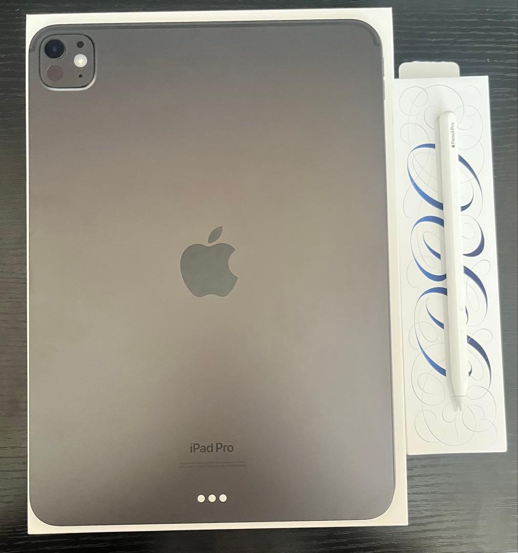 【本体】iPad Pro M4 11インチ+Apple Pencil +ケース