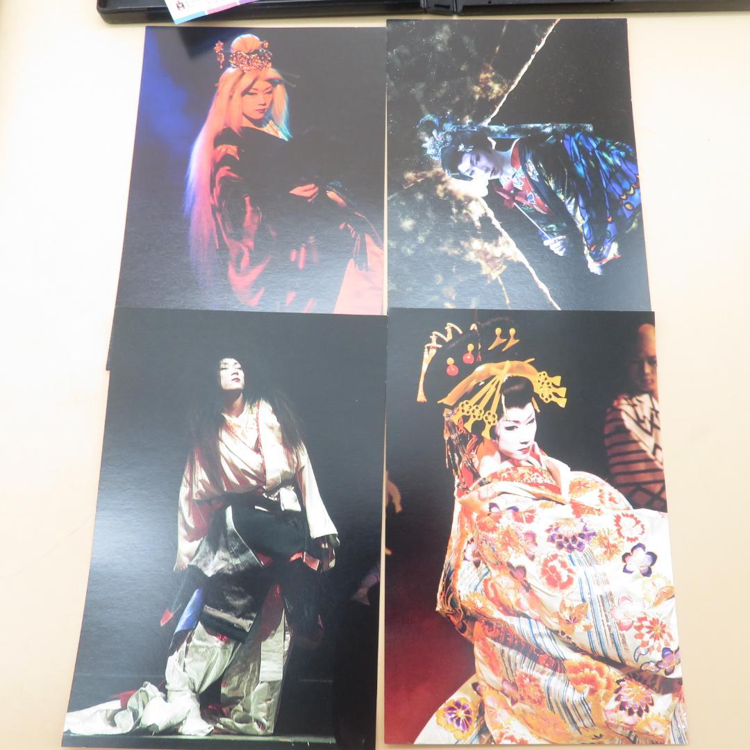 早乙女　太一　DVD　４枚　まとめて