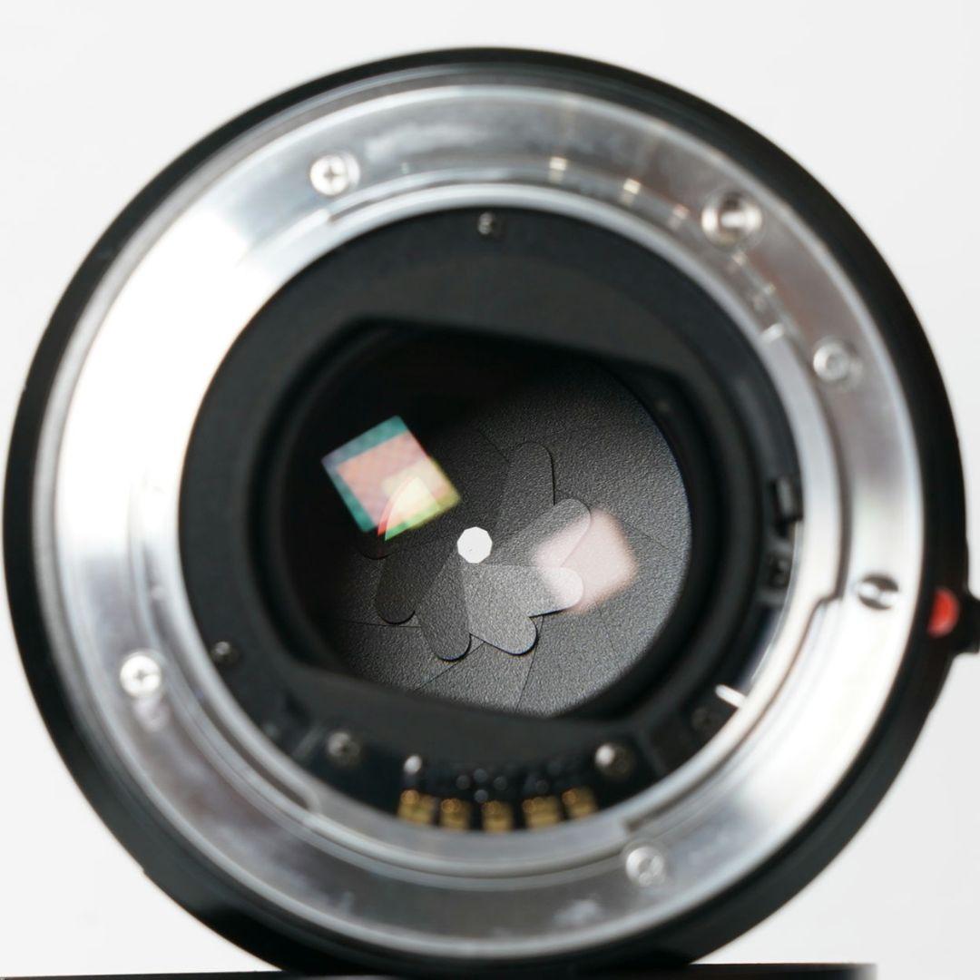 ✨美品✨ MINOLTA AF MACRO 100mm F2.8