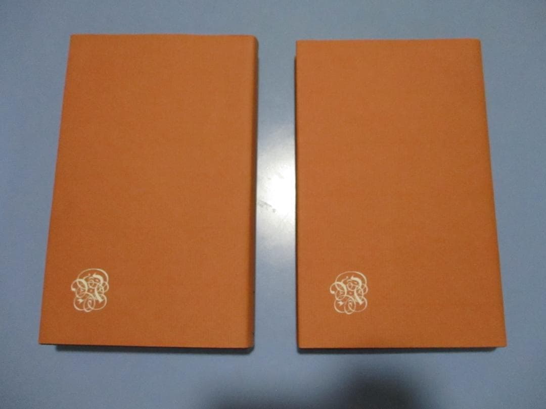 Heidegger著　Nietzsche全2巻　ドイツNeske社刊