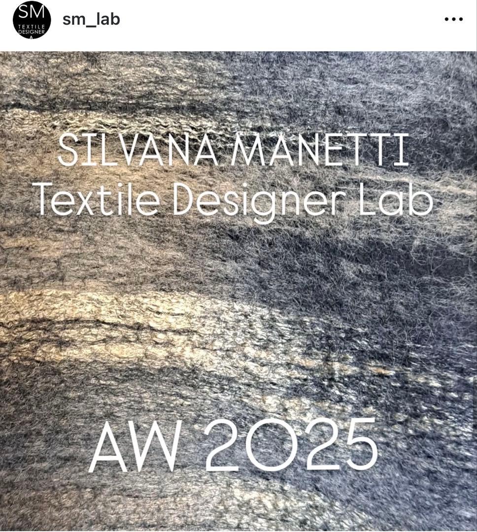 SILVANA MANETTI ショール　カシミヤ・シルク