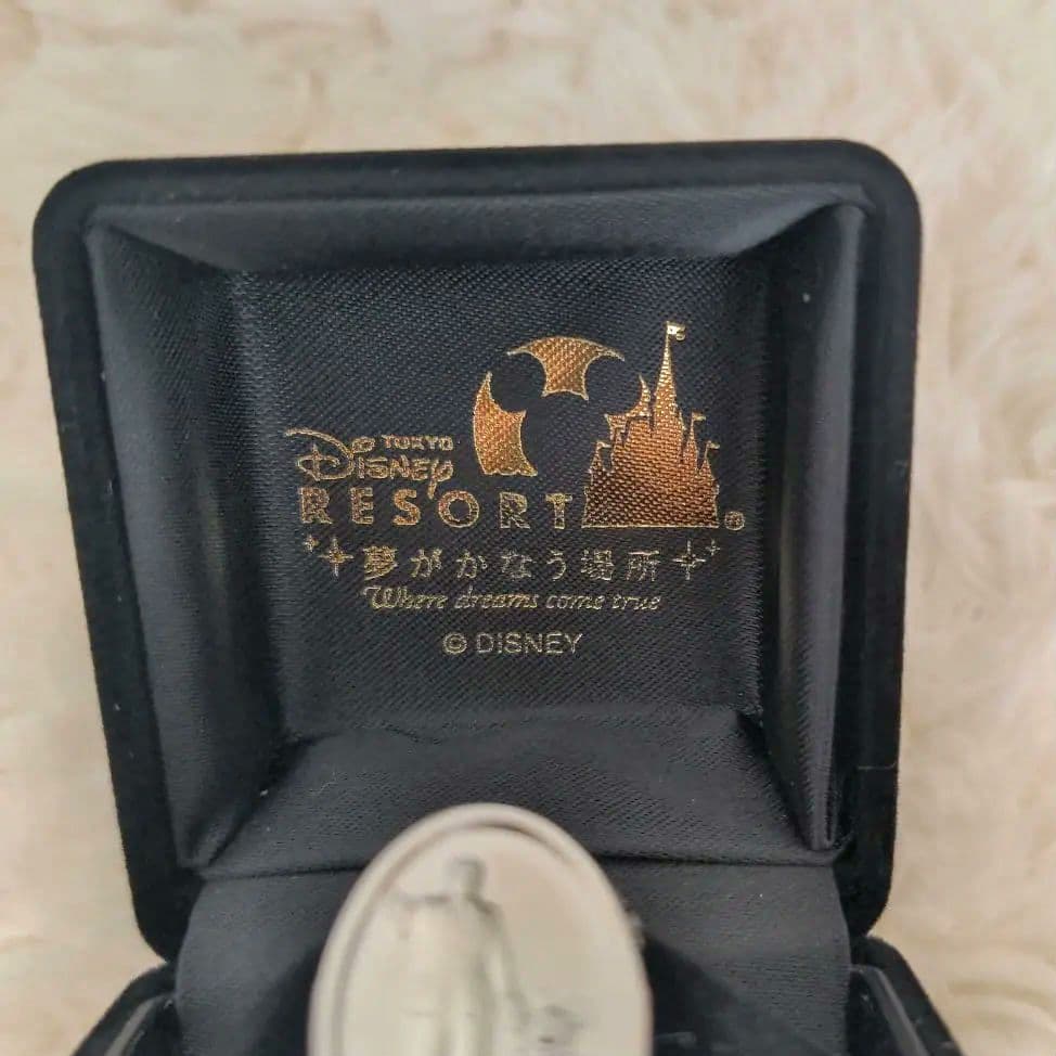 ディズニースピリットアワードピン　コレクション