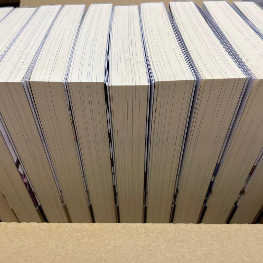 穏やか貴族の休暇のすすめ。10巻セット