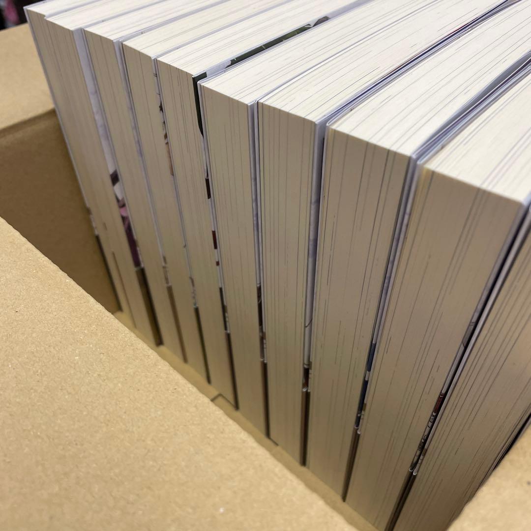 穏やか貴族の休暇のすすめ。10巻セット