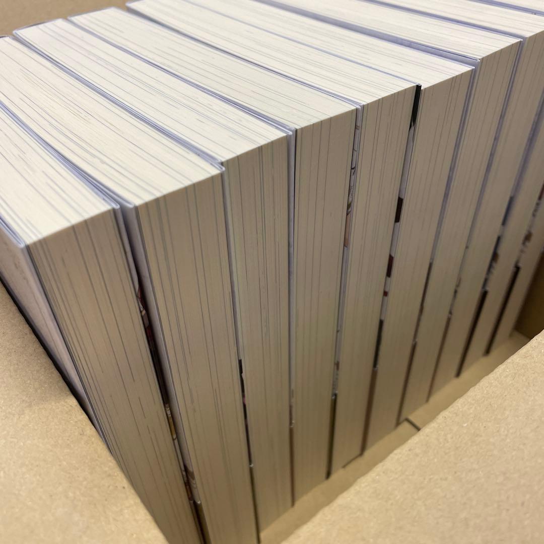 穏やか貴族の休暇のすすめ。10巻セット