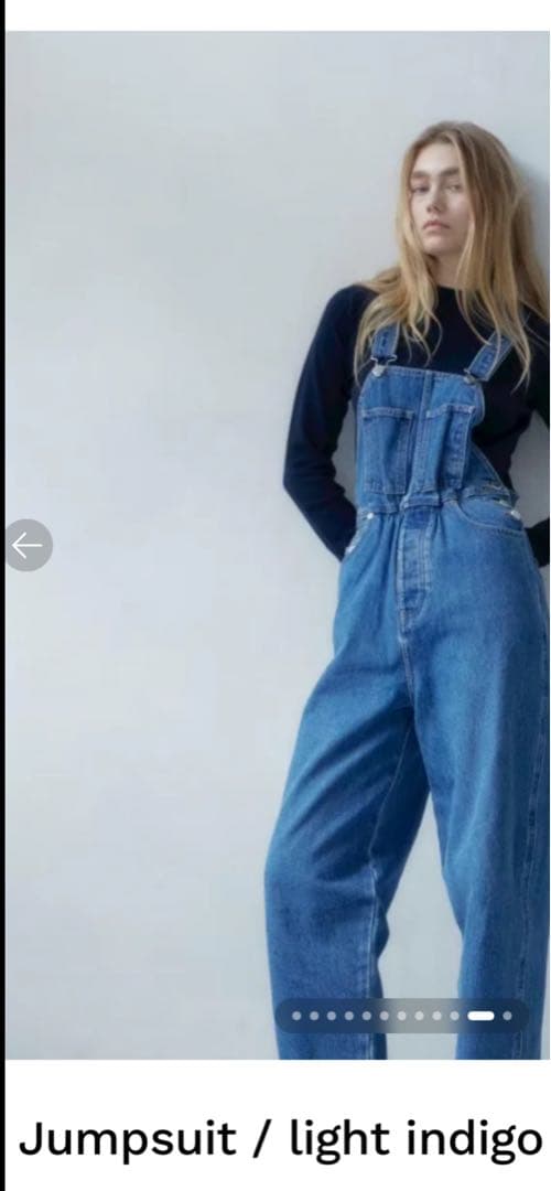 シシクイ　Jumpsuit / light indigo