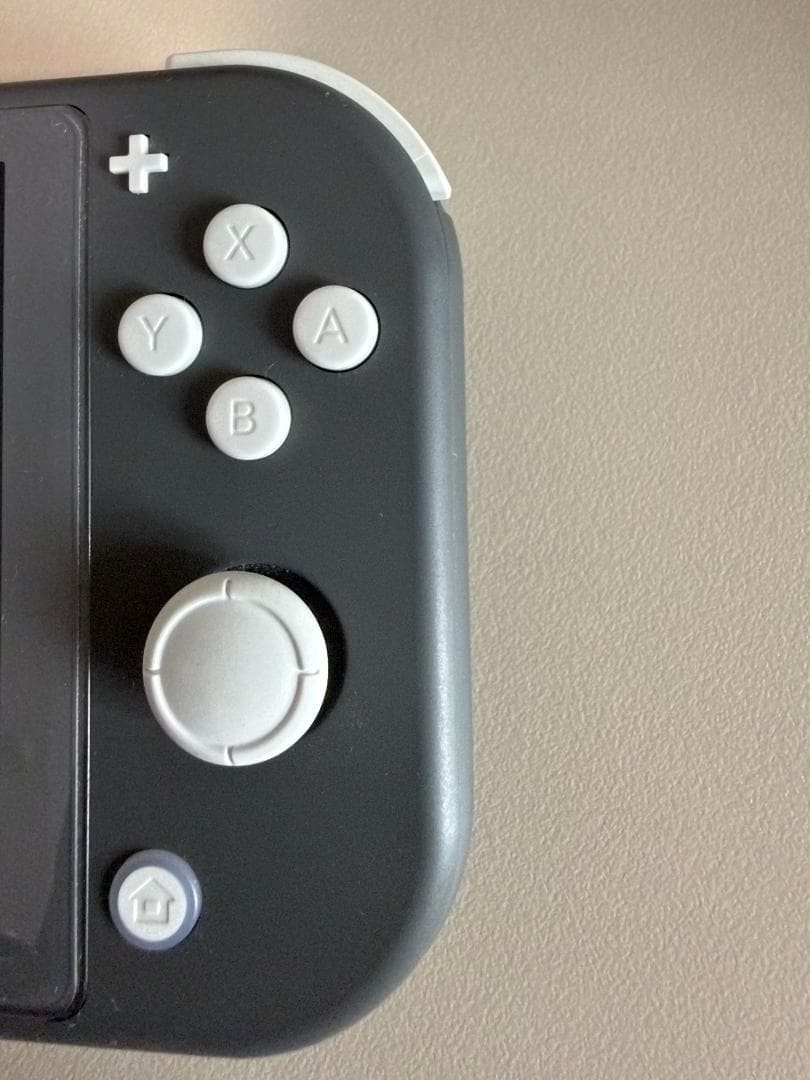 Nintendo Switch Lite グレー (ほぼ新品)