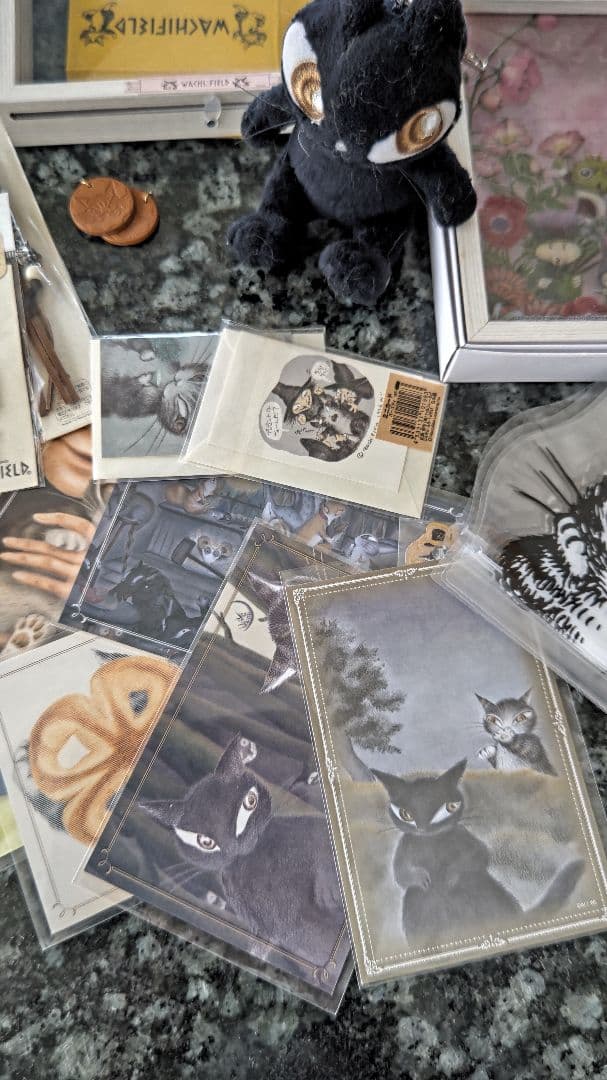 ★猫のダヤン⭐️わちふぃーるど