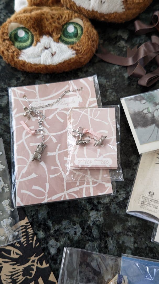 ★猫のダヤン⭐️わちふぃーるど