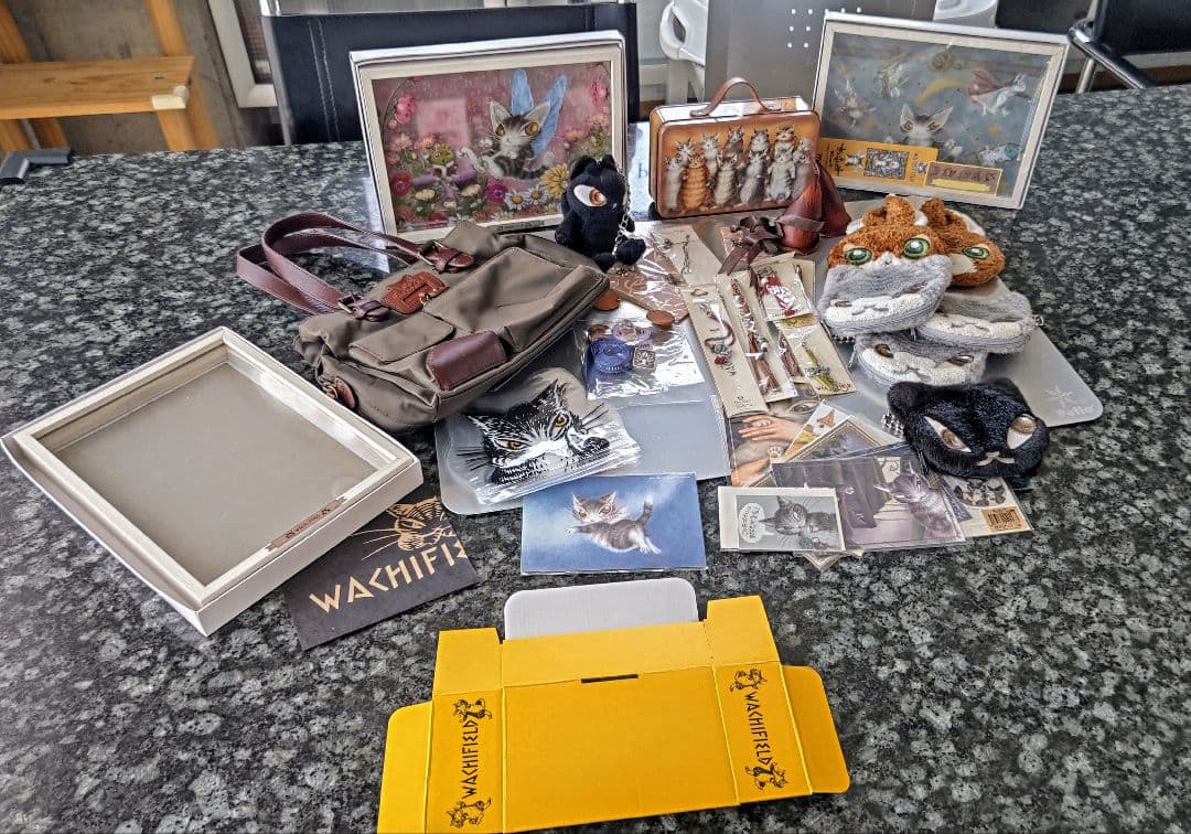 ★猫のダヤン⭐️わちふぃーるど