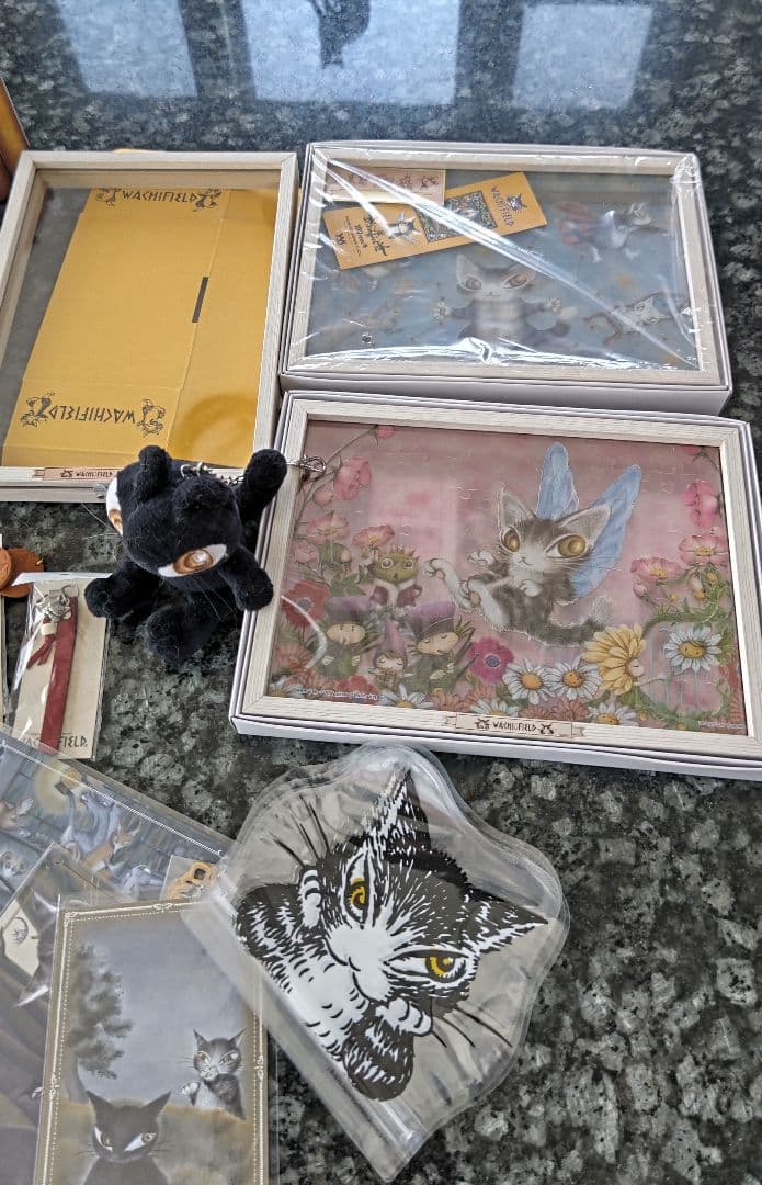 ★猫のダヤン⭐️わちふぃーるど