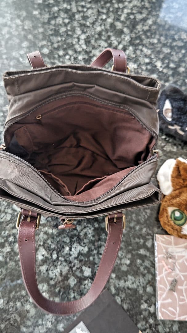 ★猫のダヤン⭐️わちふぃーるど