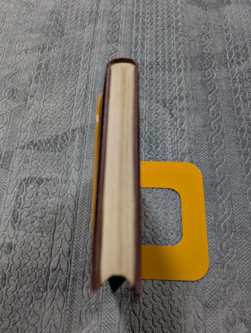 標準ロシア語文法 井桁貞敏 三省堂 語学 ロシア語 参考書