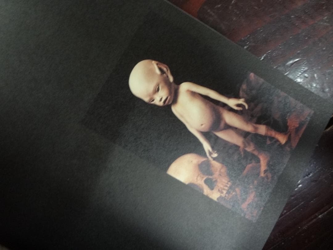 解体人形(Articulated Doll)―吉田良人形作品集