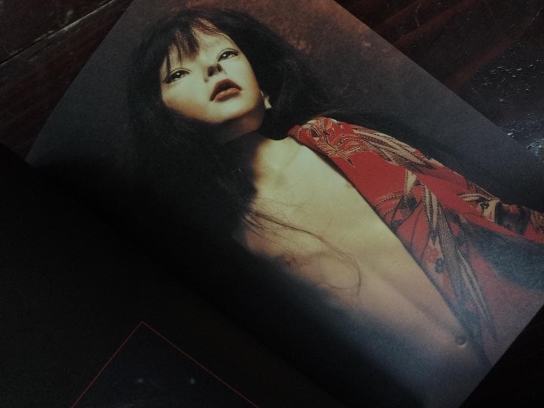 解体人形(Articulated Doll)―吉田良人形作品集