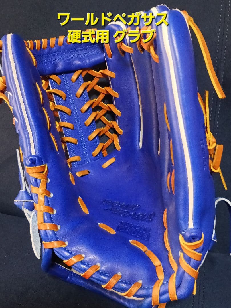 ワールドペガサス　硬式用グラブ