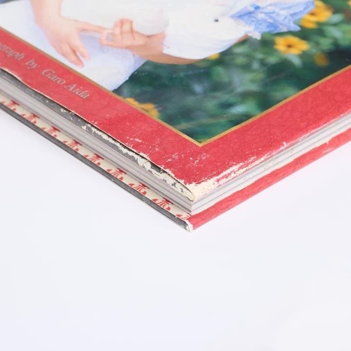 【即日発送】 不思議の国の美少女達アリス 永井流奈