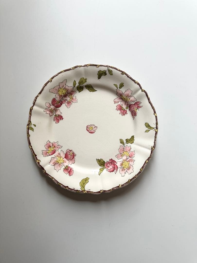 サルグミンヌ　りんごの花　フランス　アンティーク　プレート　皿　平皿