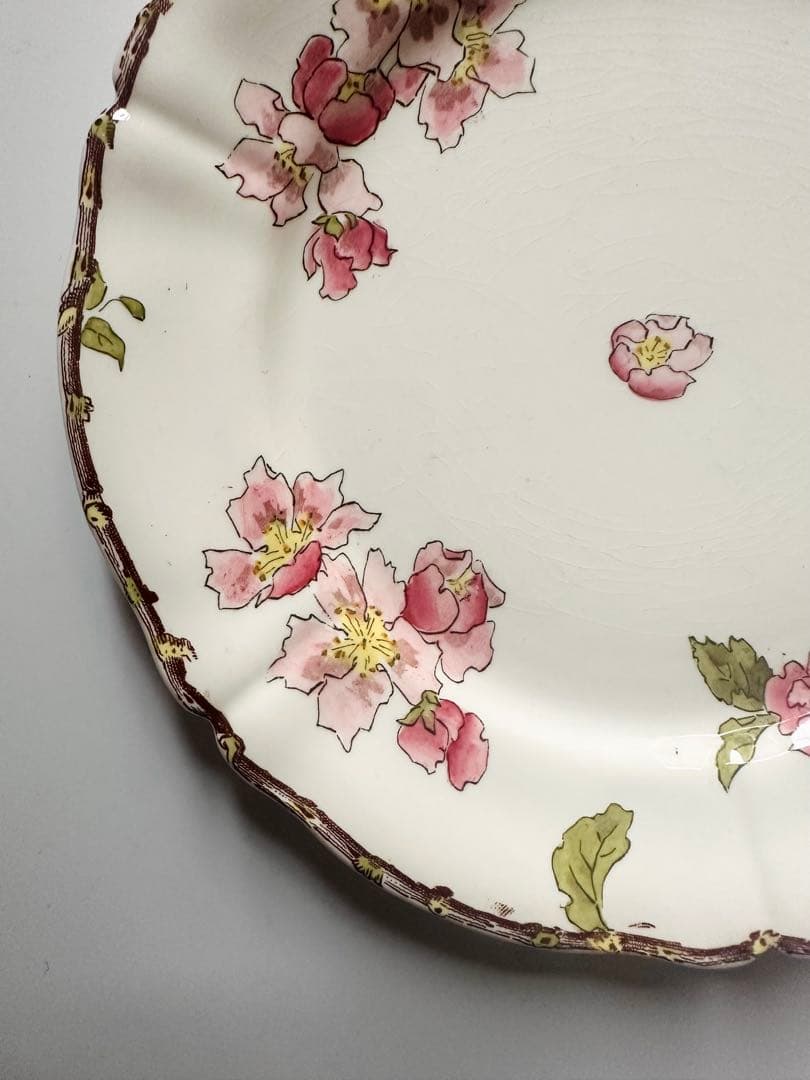 サルグミンヌ　りんごの花　フランス　アンティーク　プレート　皿　平皿